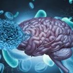 One in 3 carry brain parasite; study reveals how it’s kept in check