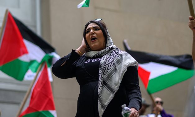 Man arrested over alleged firebomb plot targeting pro-Palestinian activist Nerdeen Kiswani