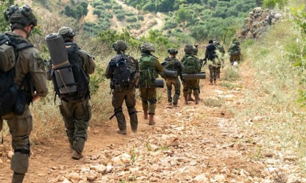 Young reservists in no rush to find civilian jobs