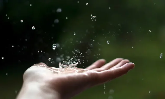 Heatwave ahead before sharp cooldown, rain expected