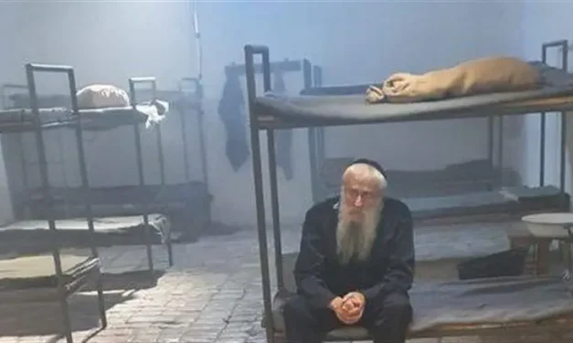 The miracle of freedom