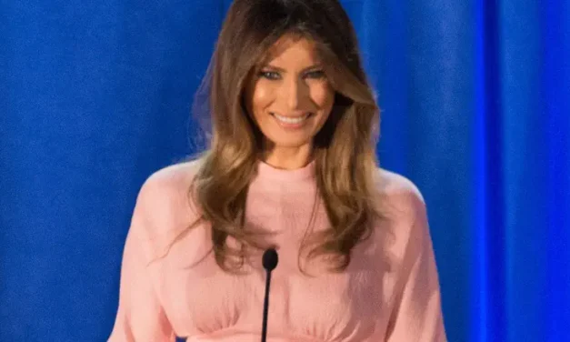 White House announces: First conviction in groundbreaking AI case