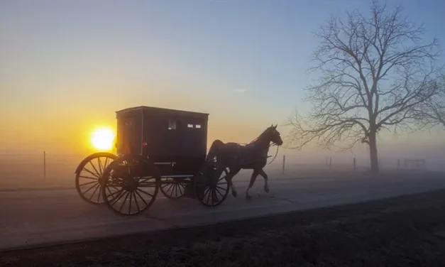 Parashat Shemini: Do you know the way?