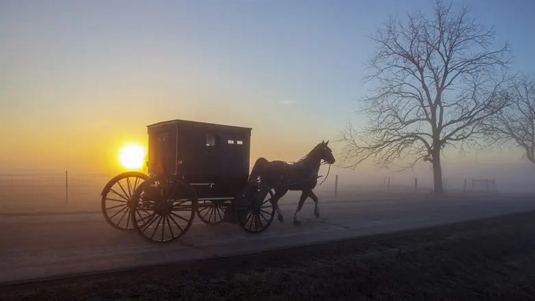 Parashat Shemini: Do you know the way?