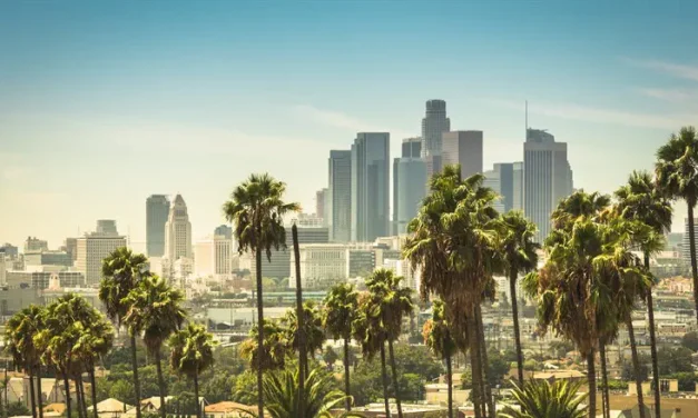 Woman accused of smuggling Iranian weapons arrested in LA