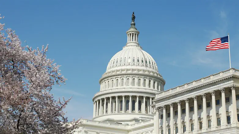 Antisemitic influencer Dan Bilzerian launches congressional bid
