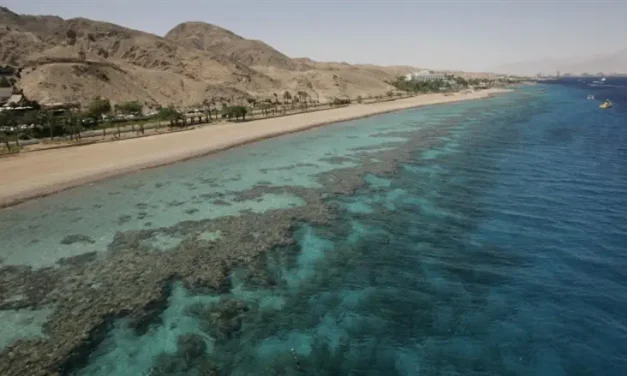 Trump’s ultimatum and the Red Sea: Why Iran cannot surrender