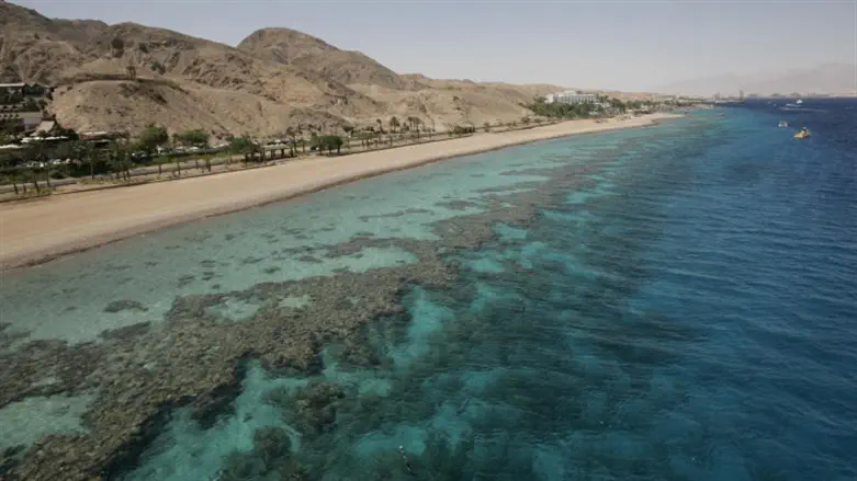 Trump’s ultimatum and the Red Sea: Why Iran cannot surrender