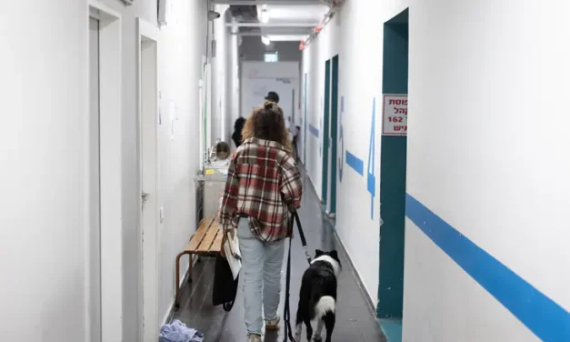 This is what opinions about Israel always ignore