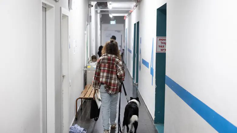 This is what opinions about Israel always ignore