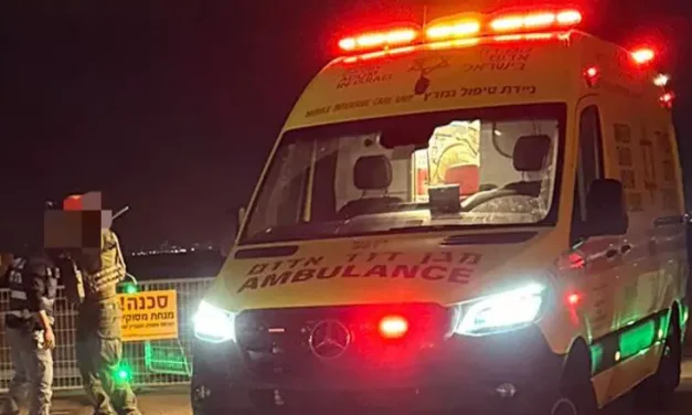 Mother expecting twins collapses and dies