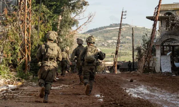 Initial inquiry: Battalion commander injured by ricochet of IDF shell