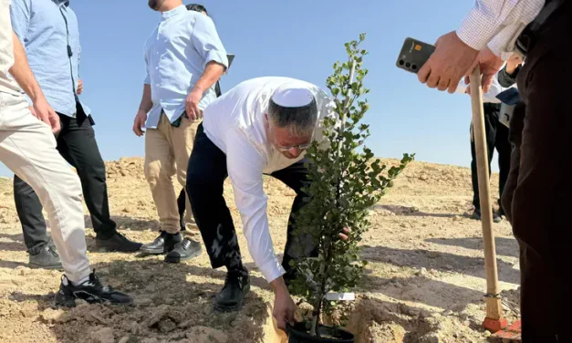 An illegal taking writ small