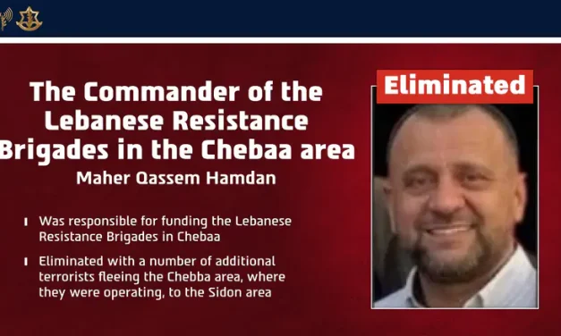 Senior terror commander killed in IDF strike in Lebanon