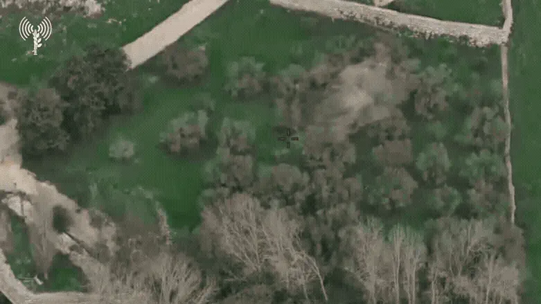 Watch: Elimination of Hezbollah cell which hid in bushes