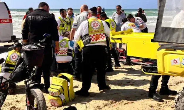 Two young brothers drown on Netanya beach, one in critical condition
