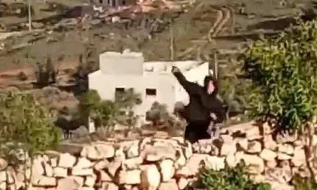 IDF kills terrorist who attacked shepherd
