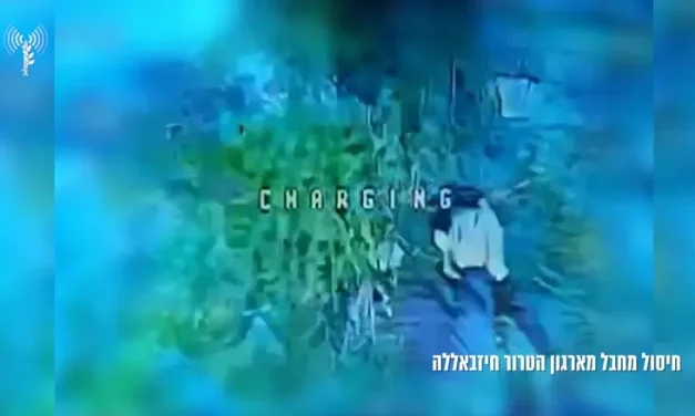 Watch: Drone eliminates terrorists in southern Lebanon