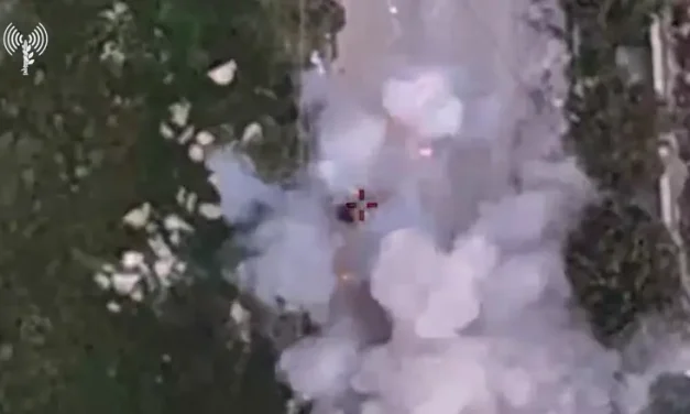 Terrorists who wounded 10 soldiers eliminated