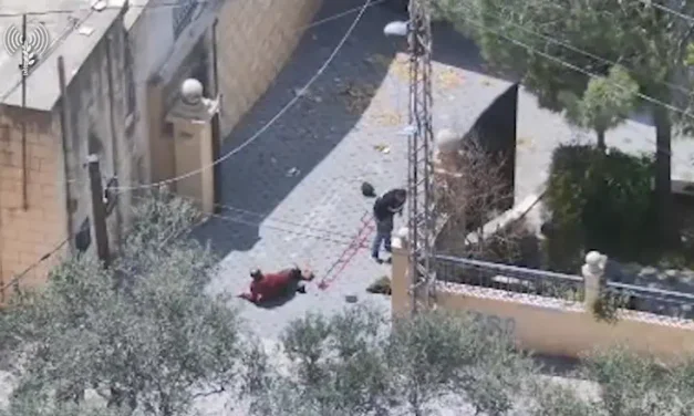 Watch: 3 Hezbollah terrorists surrender to IDF