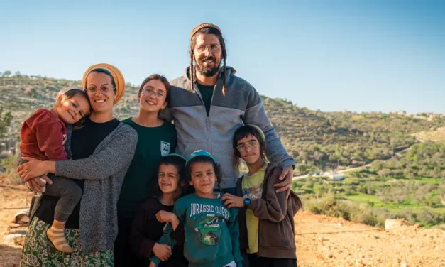 20 sheep vs. an ancient land being stolen piece by piece