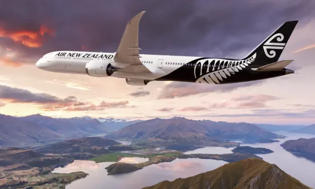 Air New Zealand unveils sleeping pods for economy passengers on long-haul flights