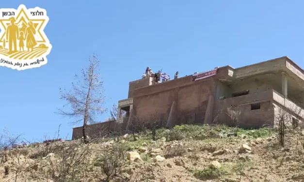 Israeli activists cross into Syria