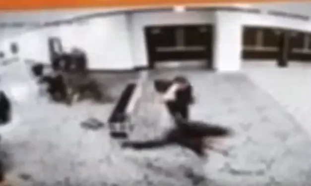 Watch: Suspect charges security checkpoint