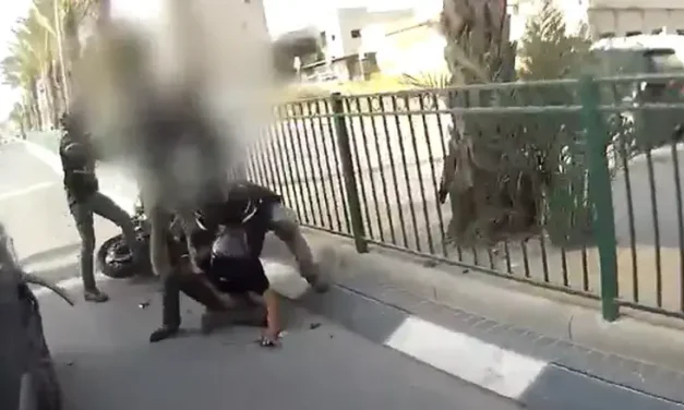 Police Chase: Driver crashes while fleeing arrest