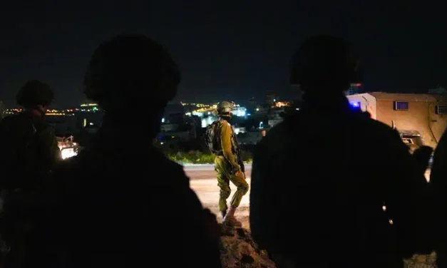 Three areas simultaneously: Security forces arrest terror suspects in major raid