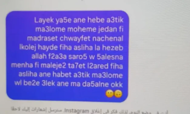 ‘Bomb the school’: Lebanese student sends irregular message to IDF spokesman