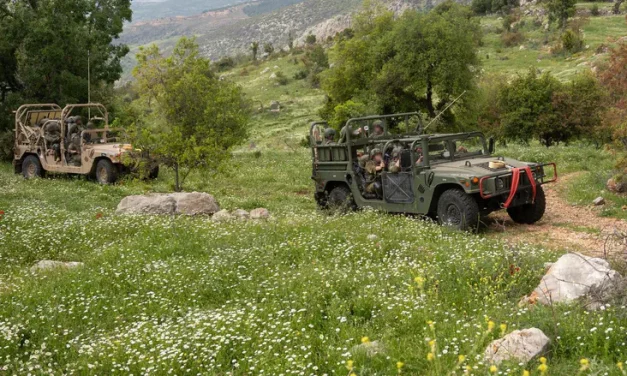 IDF destroys launch sites in southern Lebanon
