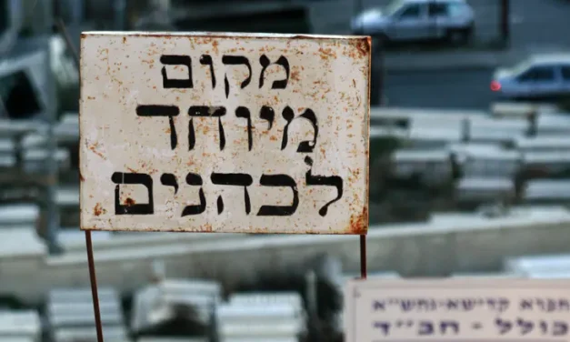 ‘Say to the kohanim, the sons of Aaron’