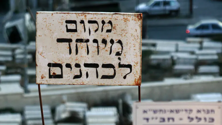 ‘Say to the kohanim, the sons of Aaron’