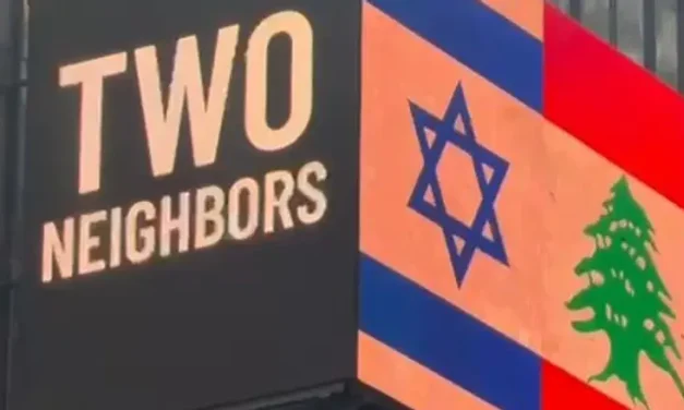 The Israeli campaign causing a stir in New York