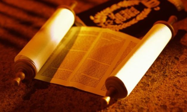 Jewish learning defines knowledge in a fragmented world – opinion