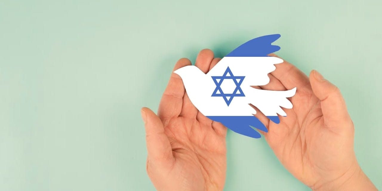 Am I a Zionist? Why Zionism must remain broader than politics – opinion