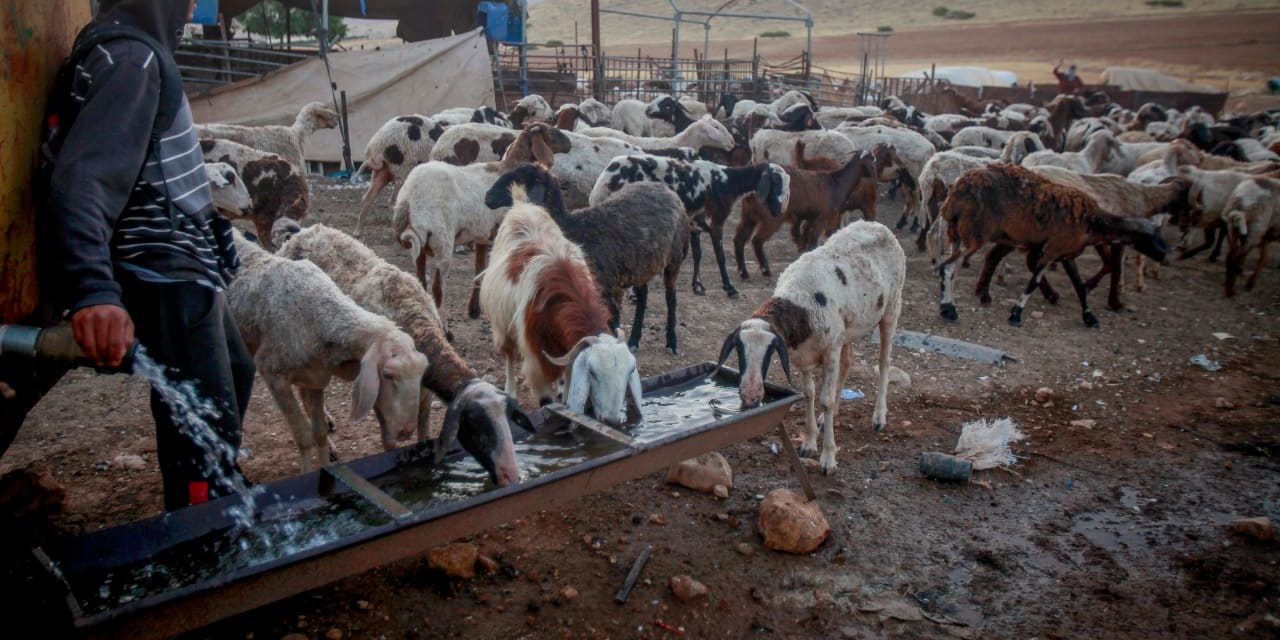 High Court sets May 14 deadline for state update in Ras Ein al-Auja case