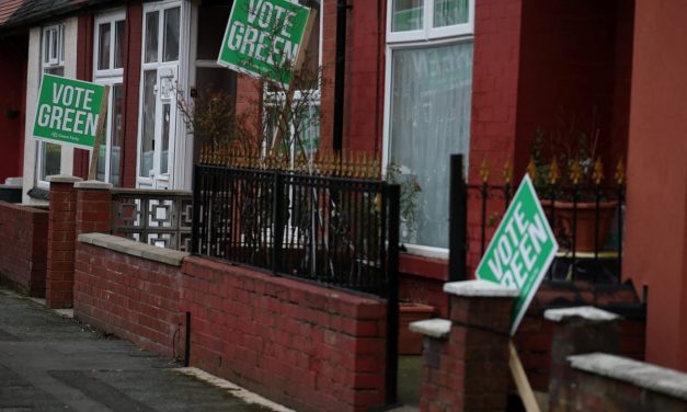 Green Party suspends anti-Israel Jewish activist for antisemitism, other Jew-hating members remain