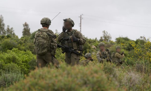 Sources say Israel’s defense establishment at odds, note force can’t solve all war aims – analysis