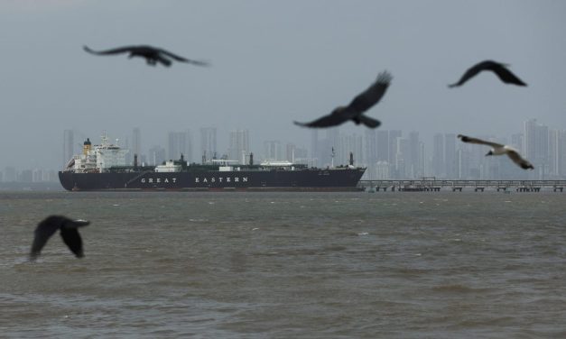 UAE denies WSJ report that it is preparing to help US, allies open Strait of Hormuz by force