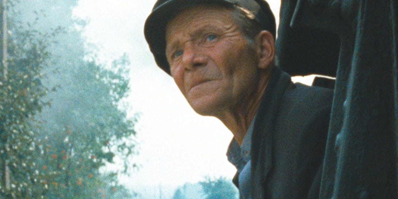 Streaming services unveil Holocaust Memorial Day 2026 programming