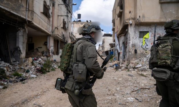 IDF kills terrorist armed with knife after Negohot infiltration alert