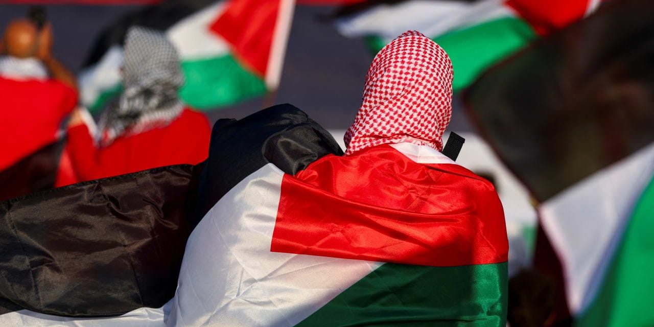 Hamas organizing pro-Palestinian protests, raising funds in Netherlands, Dutch intelligence says