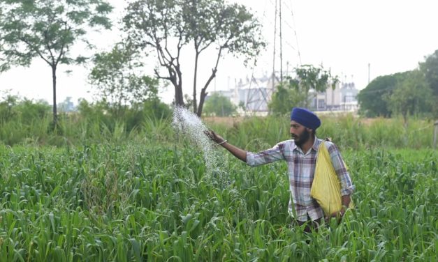 Hormuz closure cripples fertilizer trade, causing ripple effect on food security – analysis