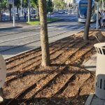 Jerusalem razes Elie Wiesel Plaza for NIS 73m. underground passage to Shaare Zedek