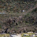 Settlers block Palestinian pupils’ path to West Bank school with barbed wire