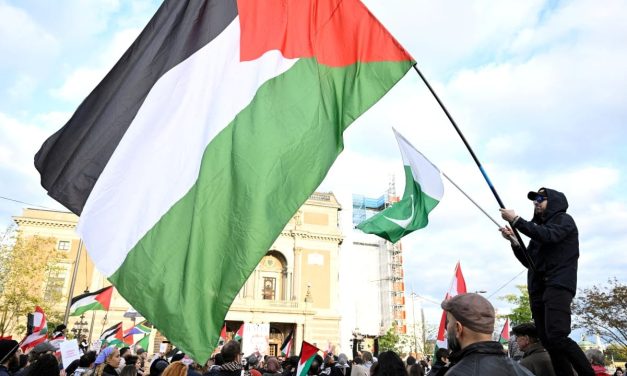 ‘Blood libel repackaged’: Israeli ambr. condemns Stockholm mock slaughter protest