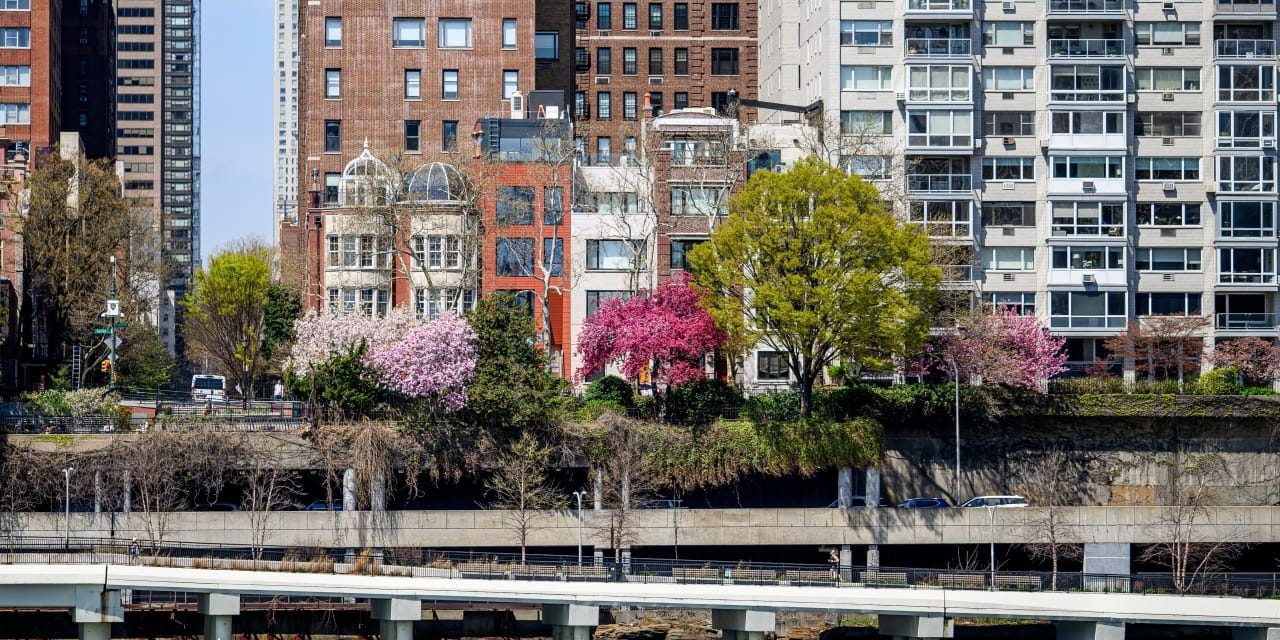 The scourge that is anti-Israel US politicians – opinion