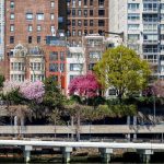 The scourge that is anti-Israel US politicians – opinion